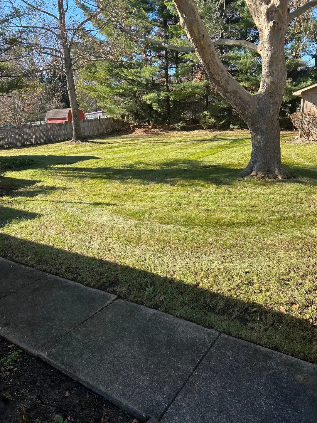 The same backyard lawn after fallen leaves have been cleared